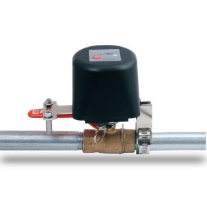 photo_2023-12-31_11-01-11